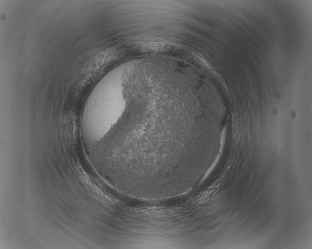 X0000055990637200509021639