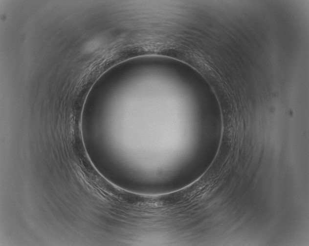 X0000055990639200509021639