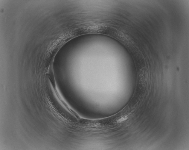 X0000055990642200509021639