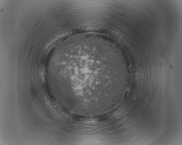 X0000055990643200509021639