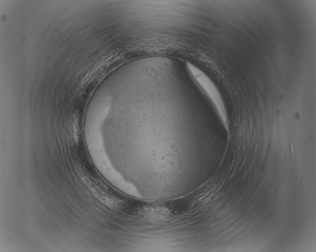 X0000055990644200509021639