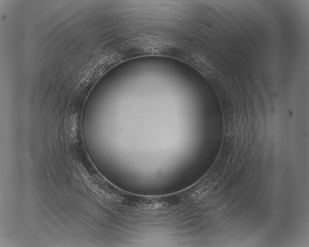 X0000055990646200509021639