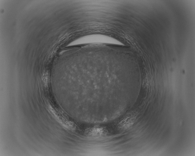 X0000055990647200509021639