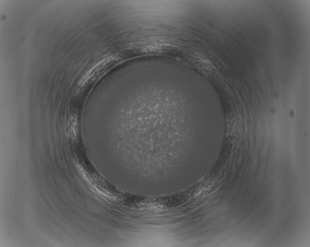 X0000055990648200509021639