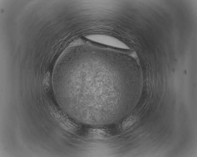 X0000055990649200509021639