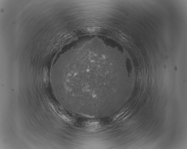 X0000055990651200509021639