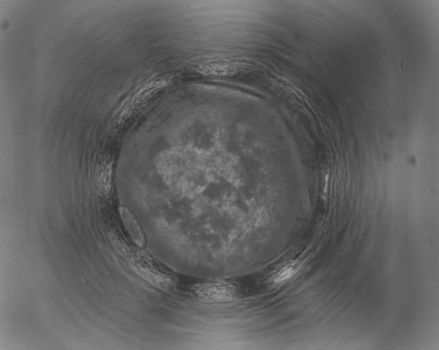 X0000055990652200509021639