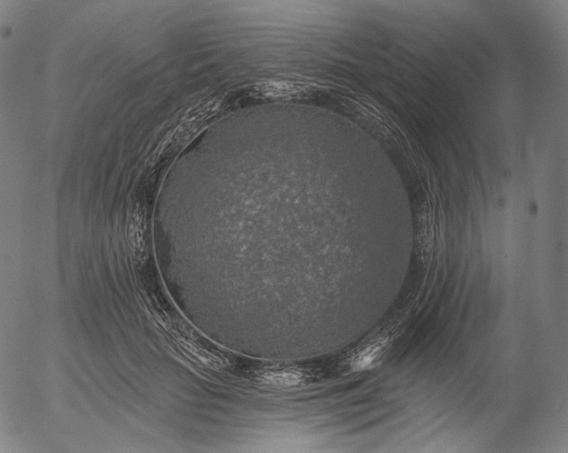 X0000055990653200509021639