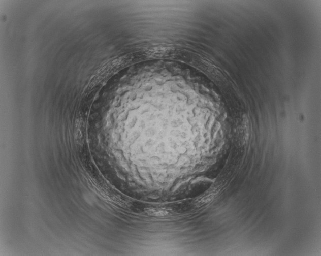 X0000055990654200509021639