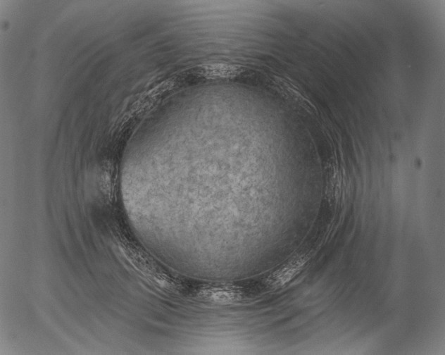 X0000055990655200509021639