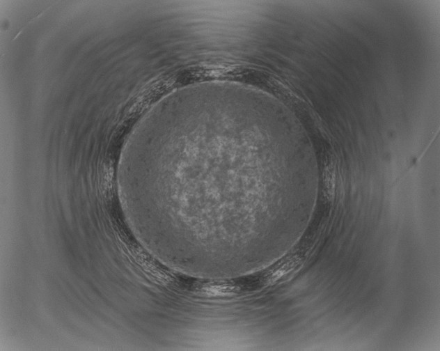 X0000055990657200509021640