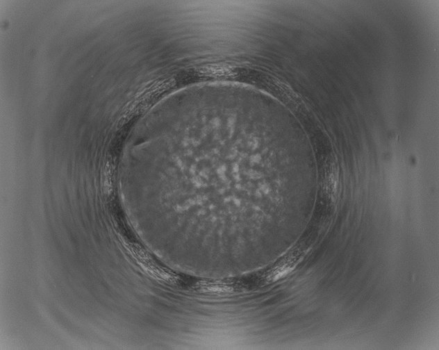 X0000055990658200509021640