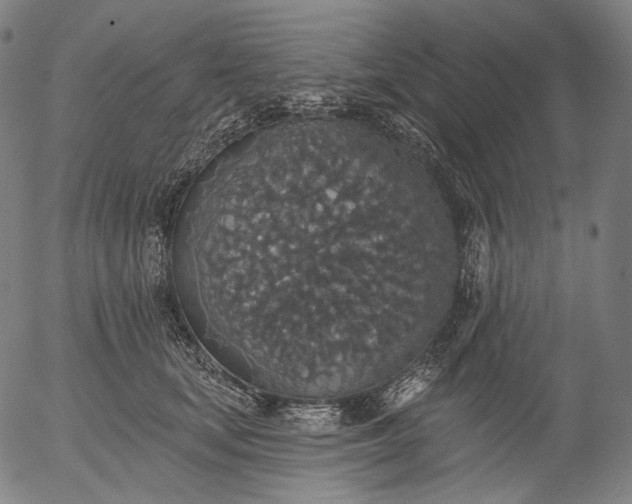 X0000055990659200509021640