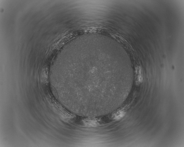 X0000055990661200509021640