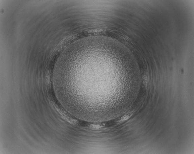 X0000055990662200509021640