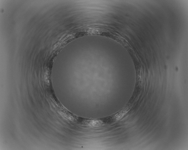 X0000055990663200509021640