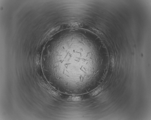 X0000055990665200509021640