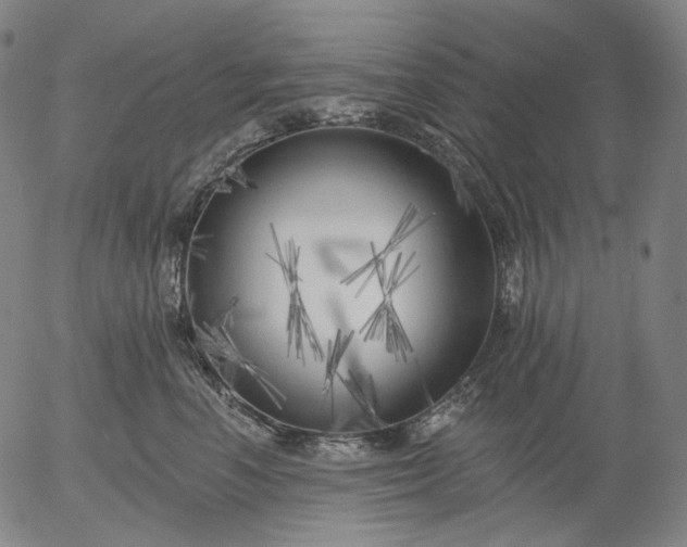 X0000055990666200509021640