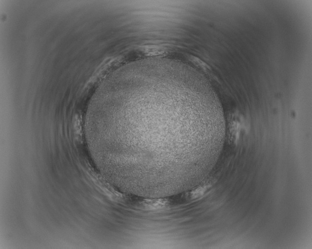 X0000055990667200509021640