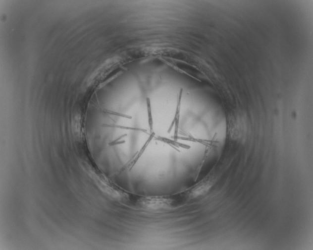 X0000055990670200509021640