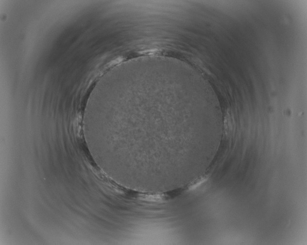 X0000055990671200509021640