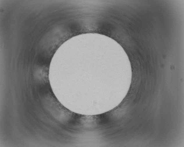 X0000055990672200509021640