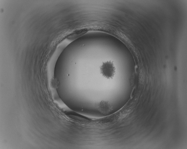 X0000055990673200509021639