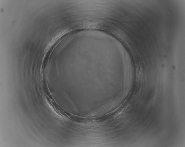 X0000055990674200509021639