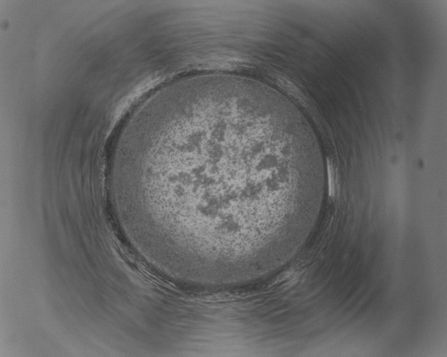 X0000055990675200509021639