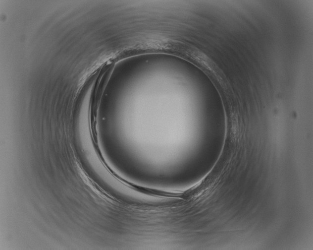 X0000055990677200509021639