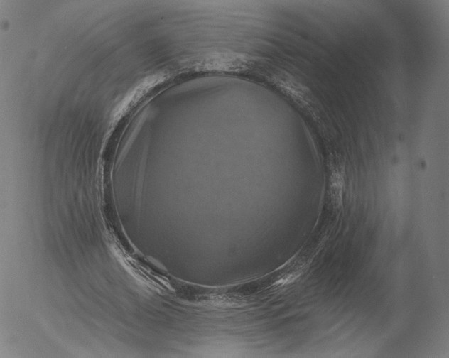 X0000055990678200509021639