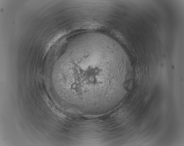 X0000055990679200509021639