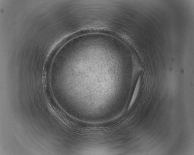 X0000055990680200509021639