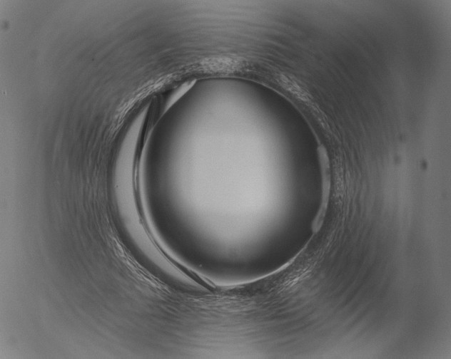 X0000055990681200509021639