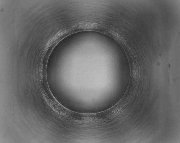 X0000055990682200509021639