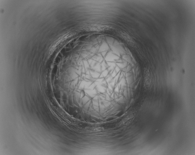 X0000055990683200509021639