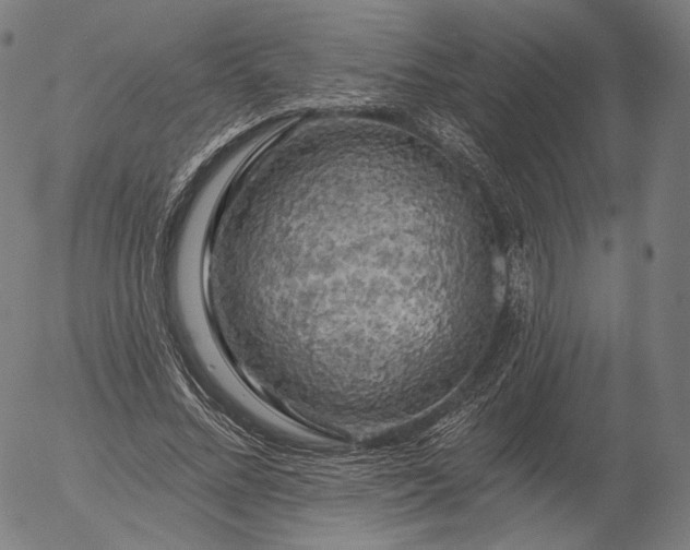 X0000055990684200509021639