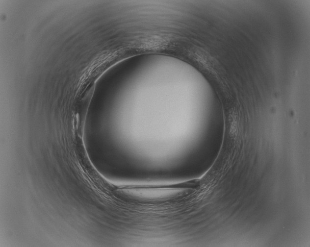 X0000055990685200509021639