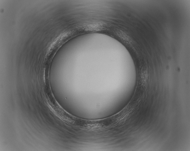 X0000055990686200509021639