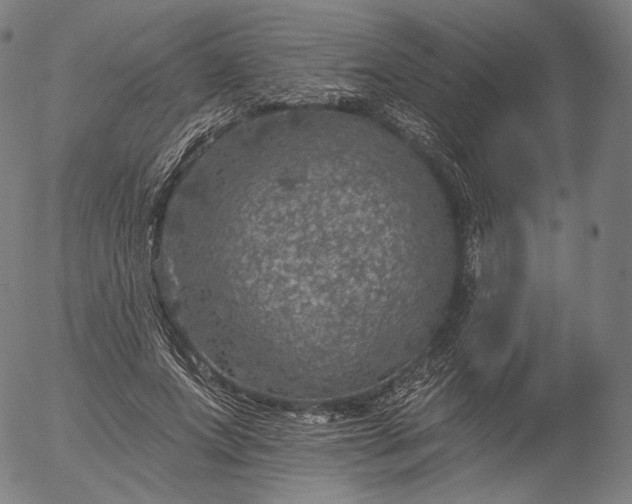 X0000055990687200509021639