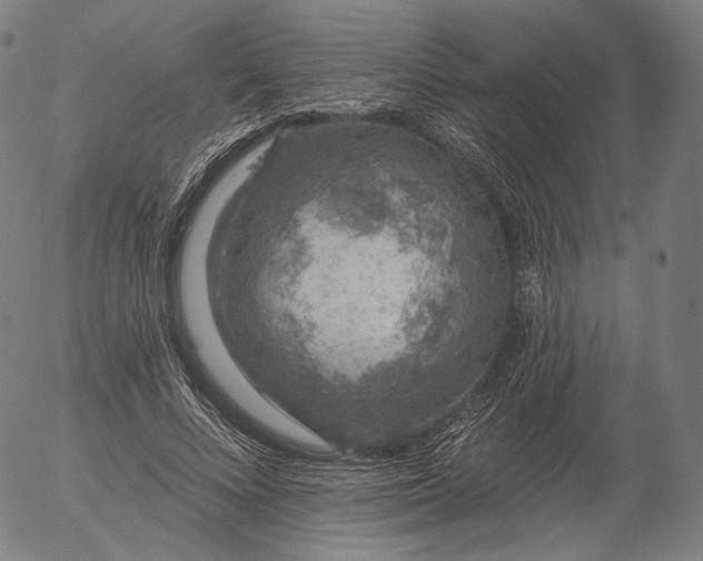 X0000055990688200509021639