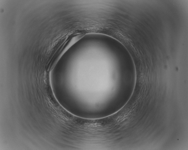 X0000055990689200509021639