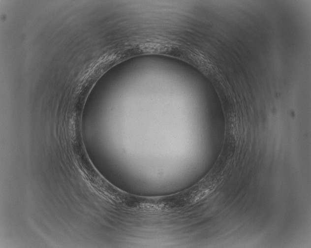 X0000055990690200509021639