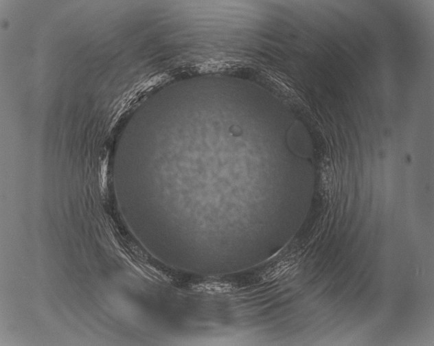 X0000055990691200509021639