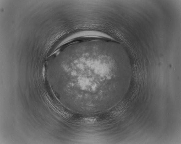 X0000055990692200509021639