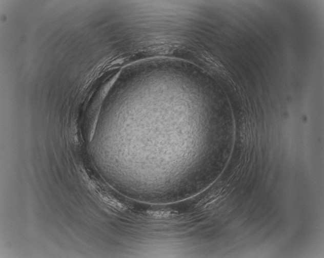 X0000055990693200509021639