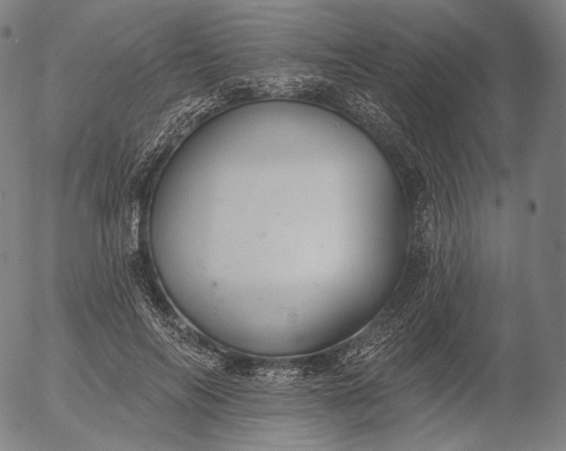 X0000055990694200509021639