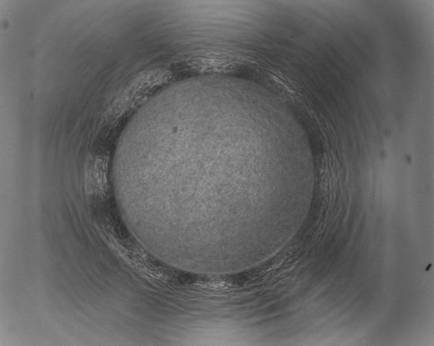 X0000055990695200509021639