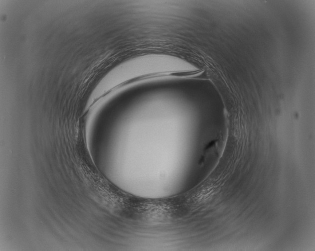 X0000055990697200509021639