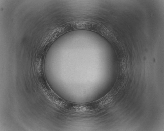 X0000055990698200509021639